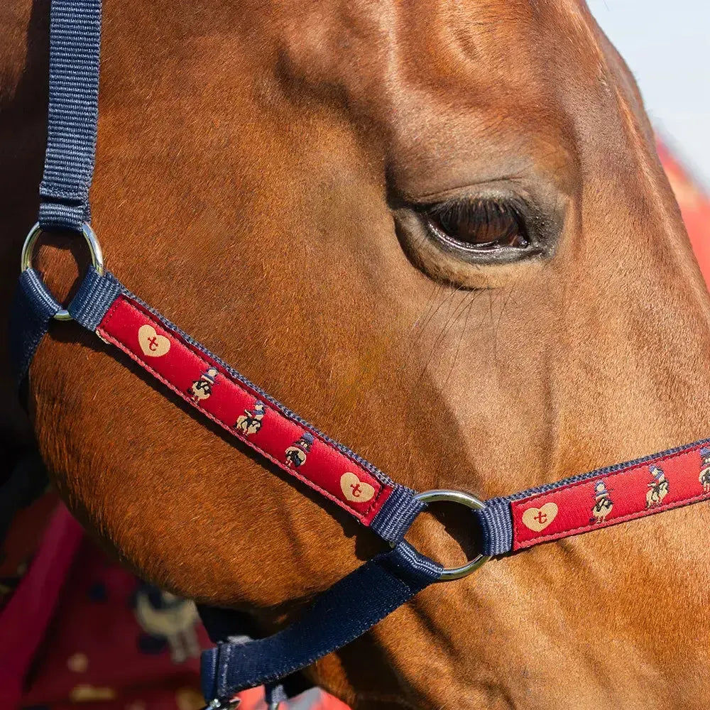 Hy Equestrian Thelwell Collection Balancing Act Head Collar & Lead Rope Red/Navy Shetland Headcollar Sets
