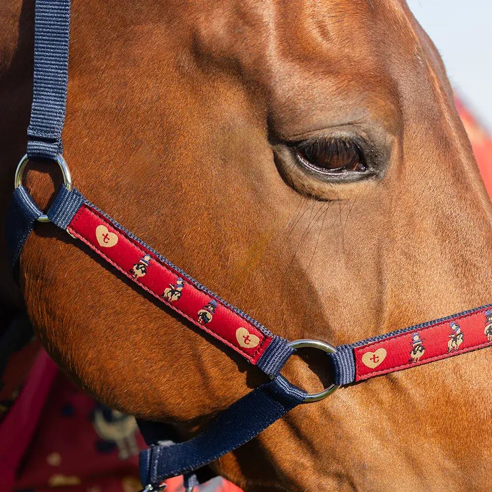 Red and navy blue act head collar from equestrian thelwell collection balancing act with heart t pattern