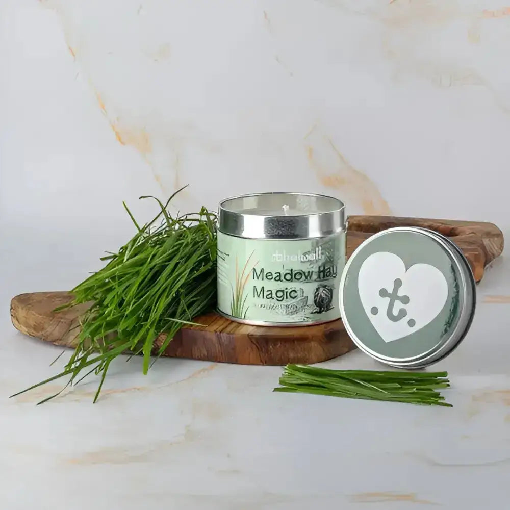 Silver tin long-lasting aromatic candle with light green meadow hay magic label from equestrian thelwell collection