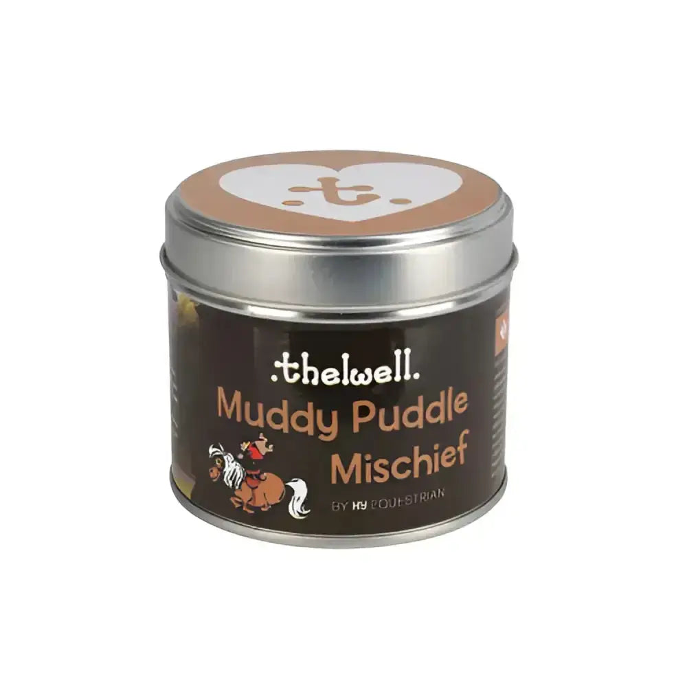 A brown and silver tin from hy equestrian thelwell collection candle featuring a cartoon horse long-lasting aromatic candle