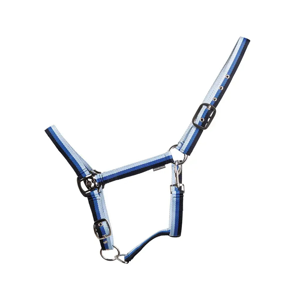 Blue striped nylon trinity head collar with black metal buckles and silver hardware from hy equestrian three tone material