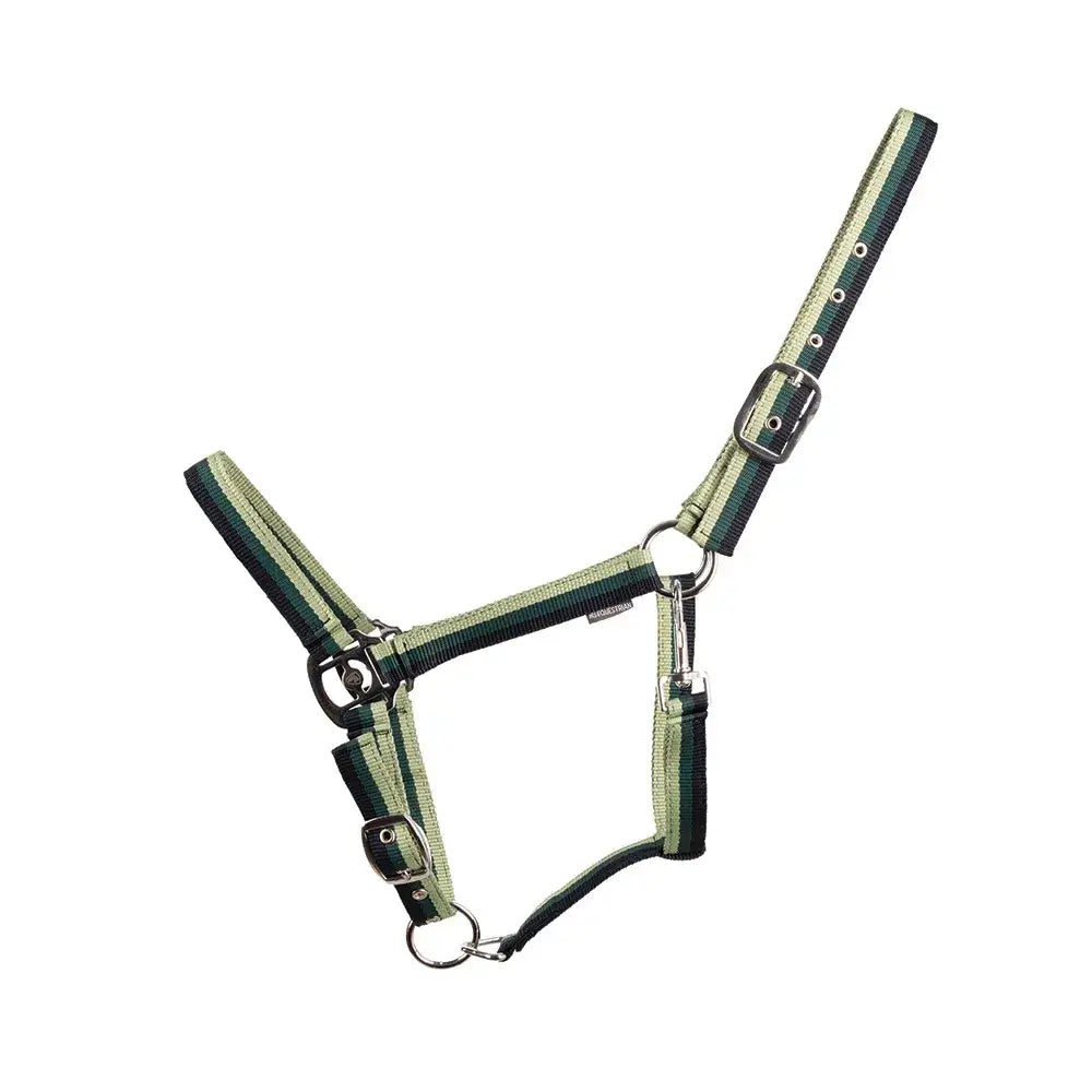 Green and black striped nylon trinity head collar with silver hardware from hy equestrian three tone material design