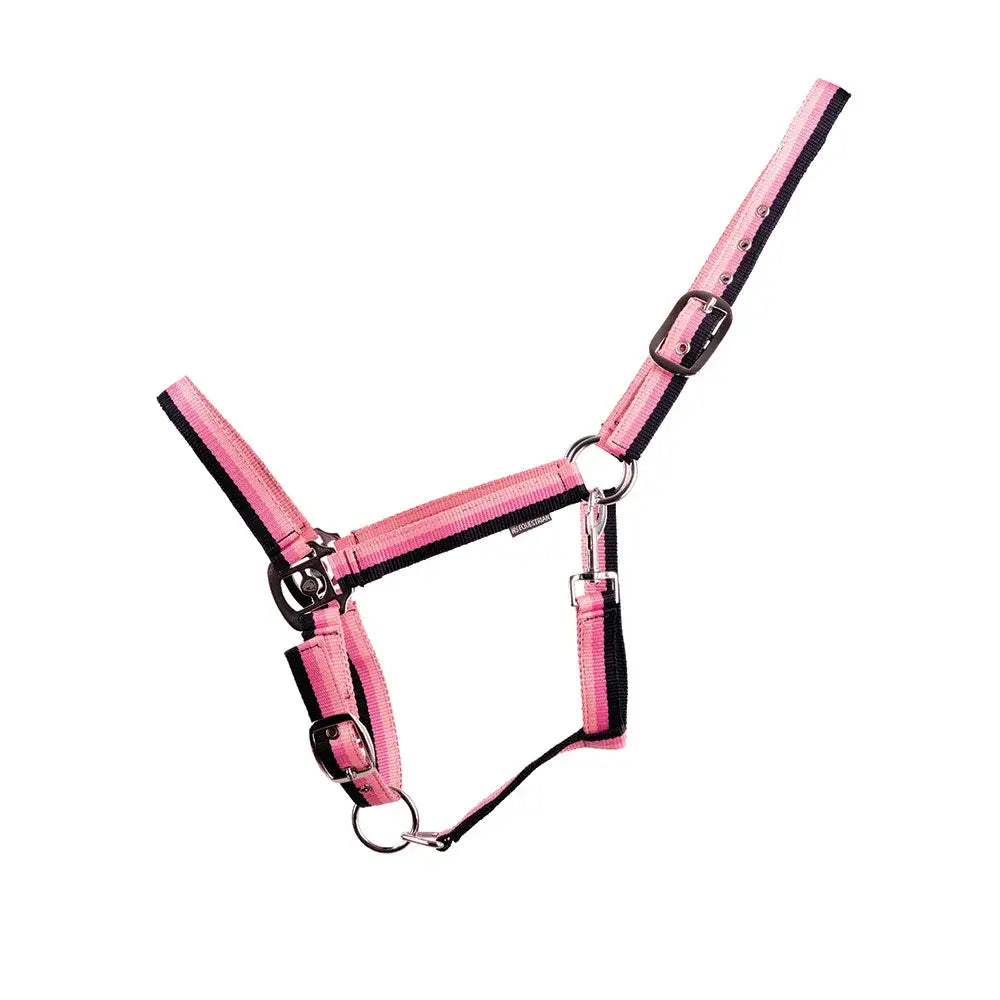 Pink and black equestrian trinity head collar with adjustable straps and metal hardware in three tone material