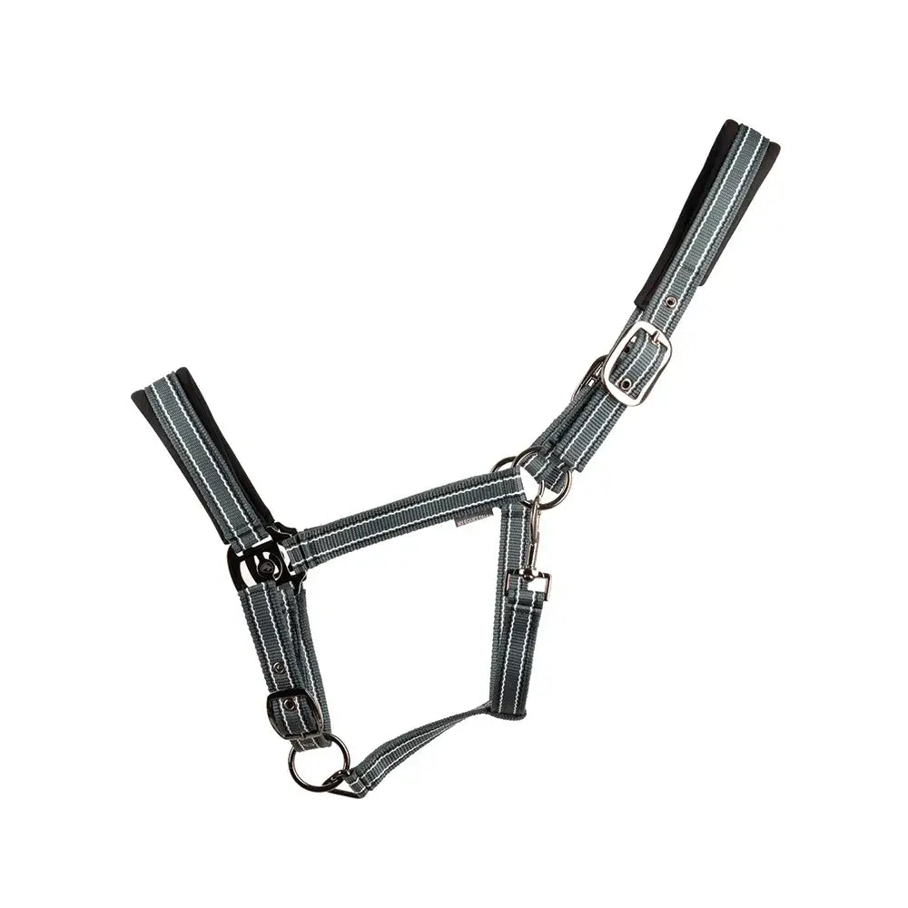 Gray reflective equestrian vertiga head collar with black padded straps and gunmetal hardware for horse use