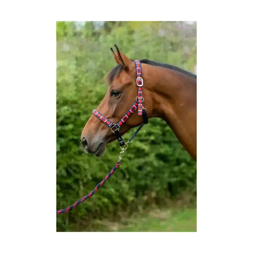 Red and black plaid woven polo head collar with silver buckles from hy equestrian stylish woven aztec design
