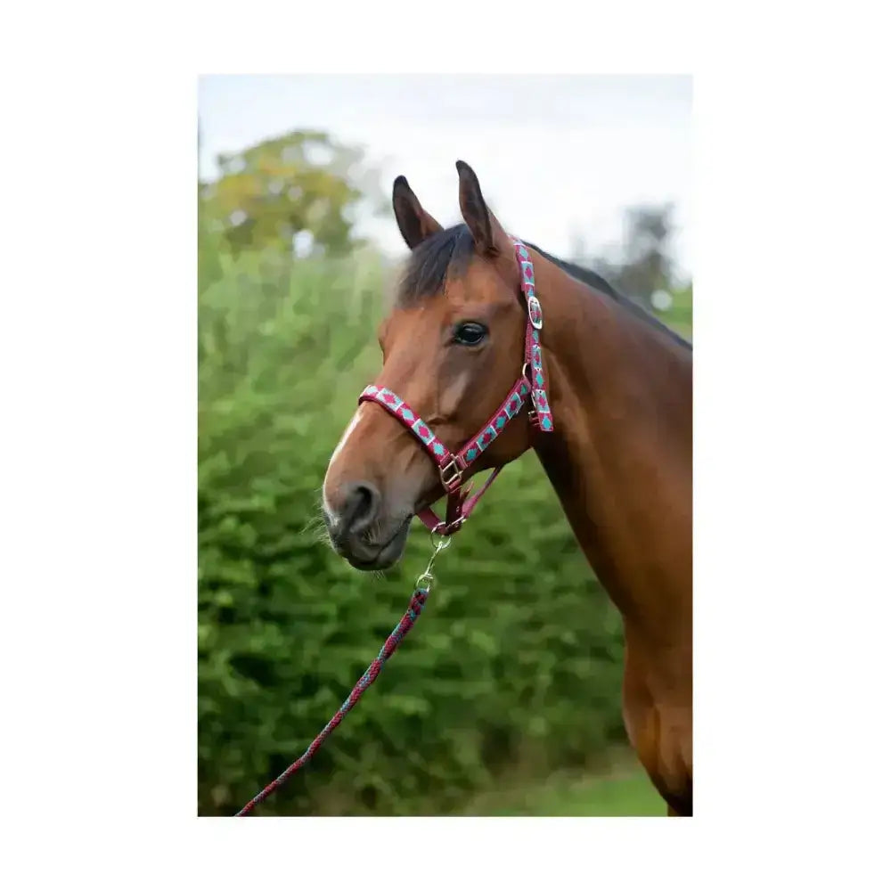 Hy equestrian woven polo head collar in pink and white patterned stylish woven aztec with metallic hardware