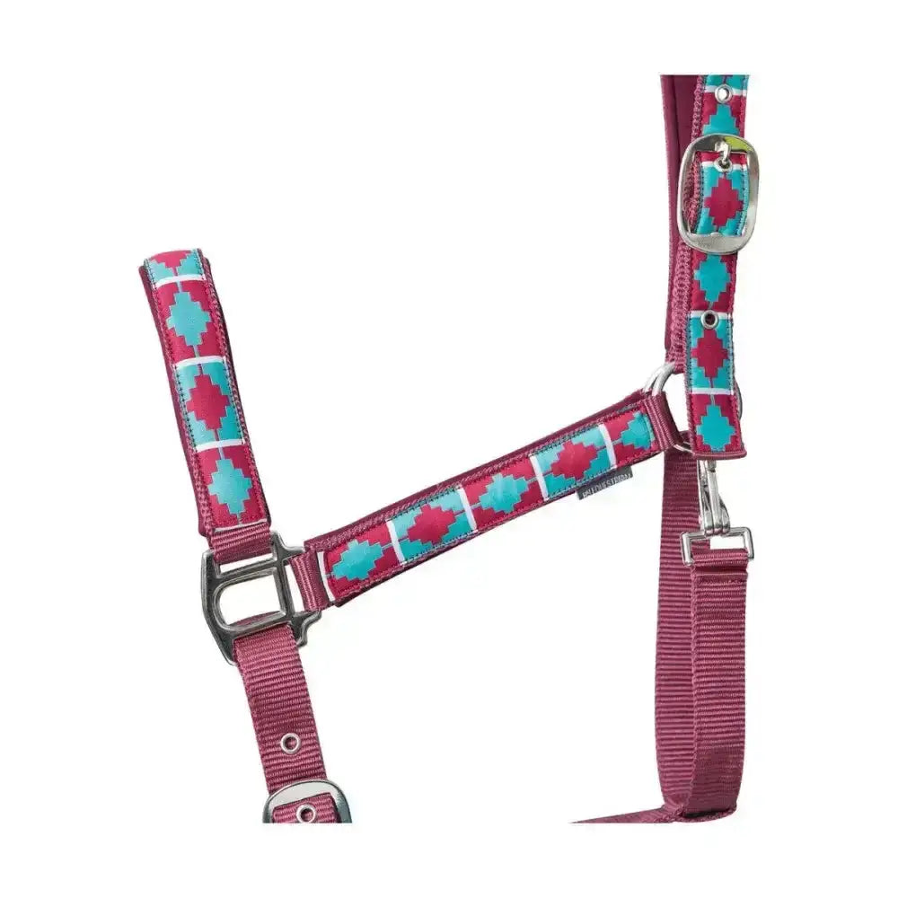 A vibrant pink and teal hy equestrian woven polo head collar with stylish woven aztec pattern and silver metal buckles