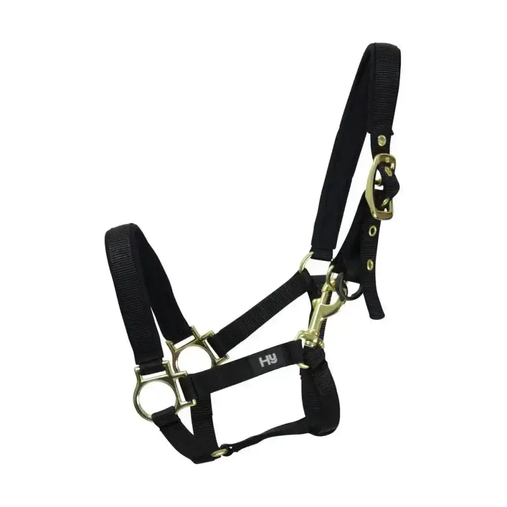 Black hy fieldsafe headcollar small pony with brass hardware and well-designed nylon web featuring h&y logo