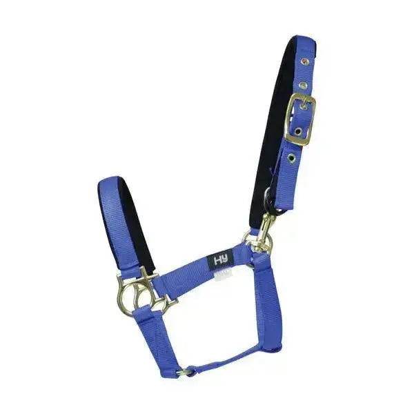 Blue nylon fieldsafe headcollar small pony with black lining and silver hardware, well-designed nylon web for foals