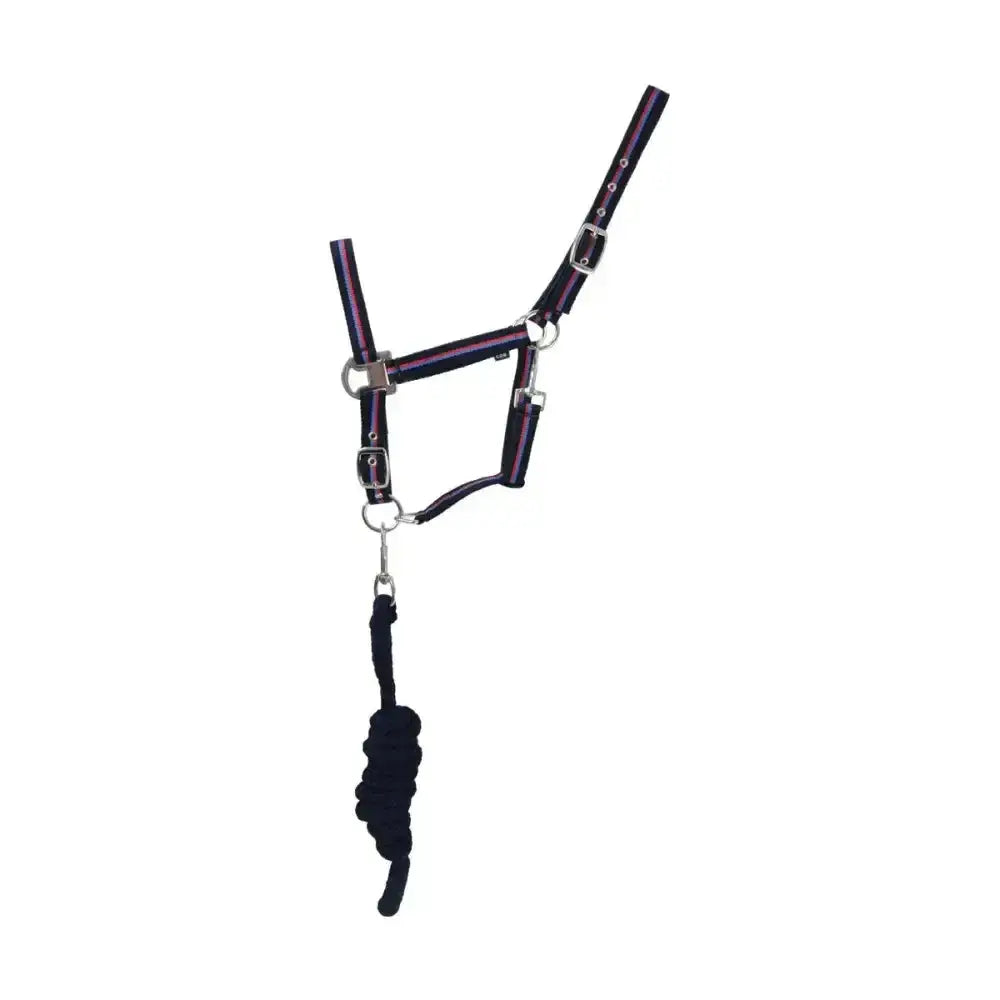 Purple and black striped leather signature head collar with silver hardware and black braided lead rope set