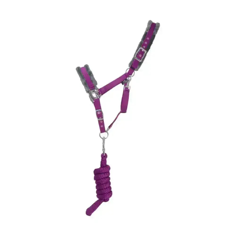 Purple and gray hy sport active head collar with padded straps silver buckles and coiled purple lead rope adding extra comfort