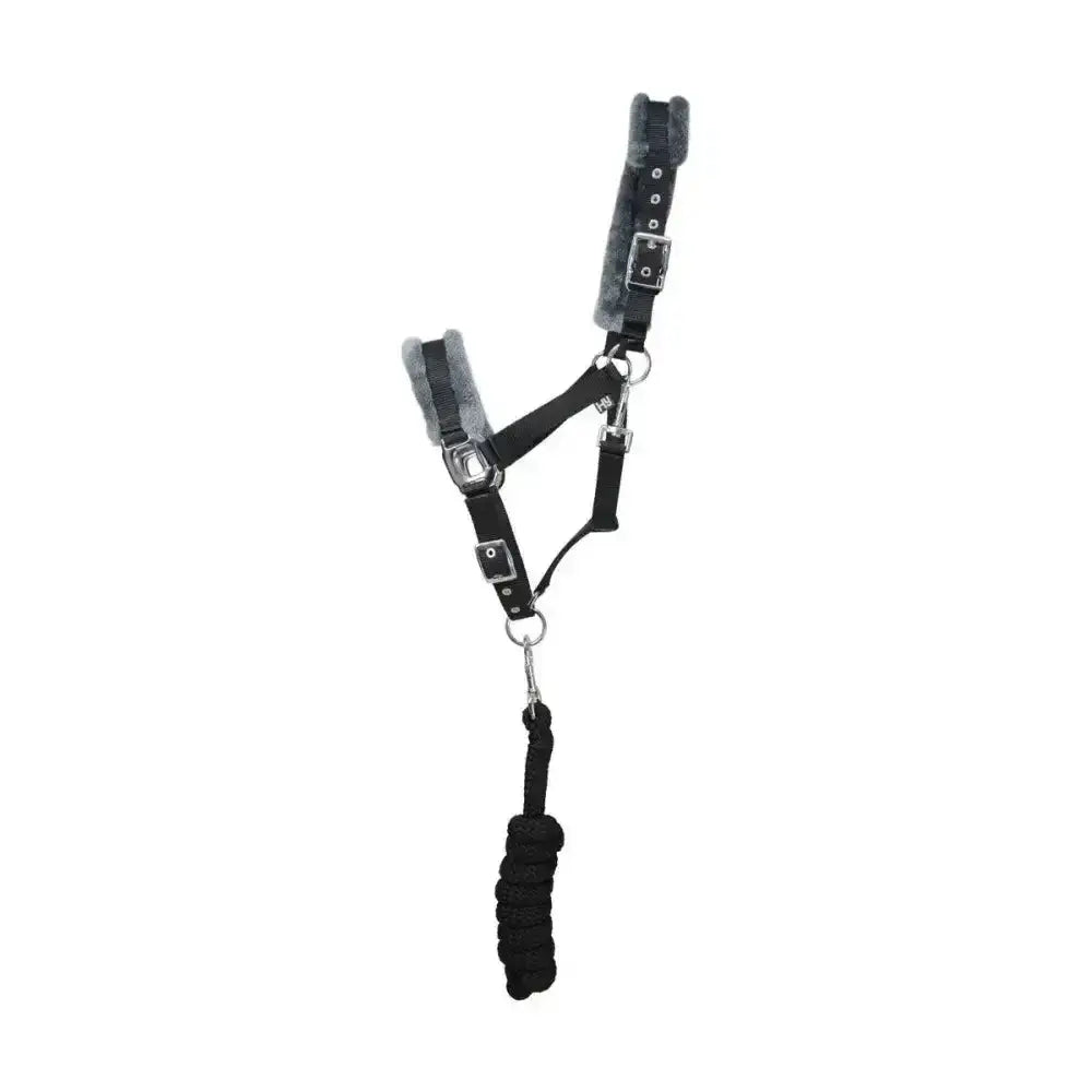 Black leather hy sport active head collar with gray fleece lining and silver hardware adding extra comfort lead rope
