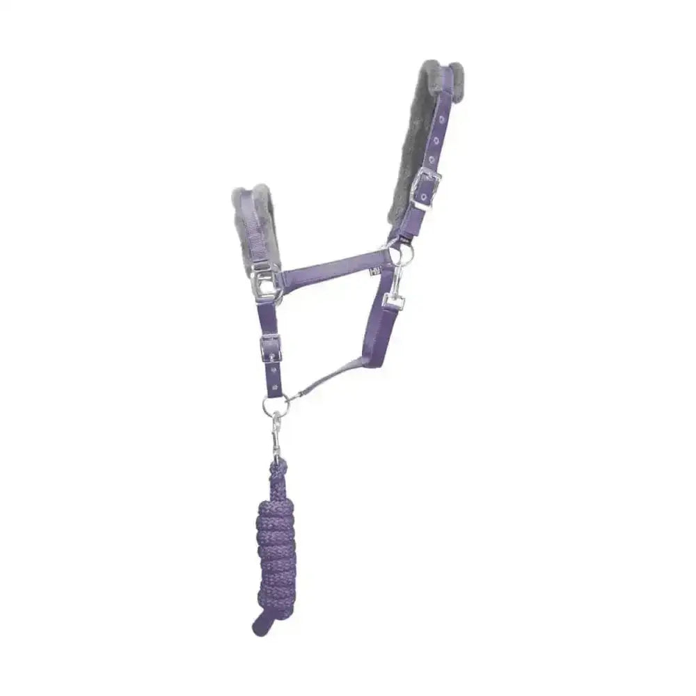 Purple leather hy sport active head collar with gray fleece lining and matching lead rope adding extra comfort