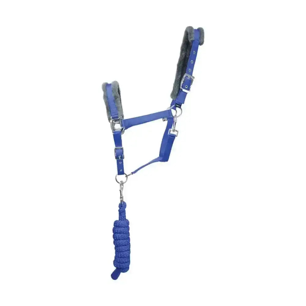 Blue leather hy sport active head collar with gray fleece padding and matching braided lead rope adding extra comfort