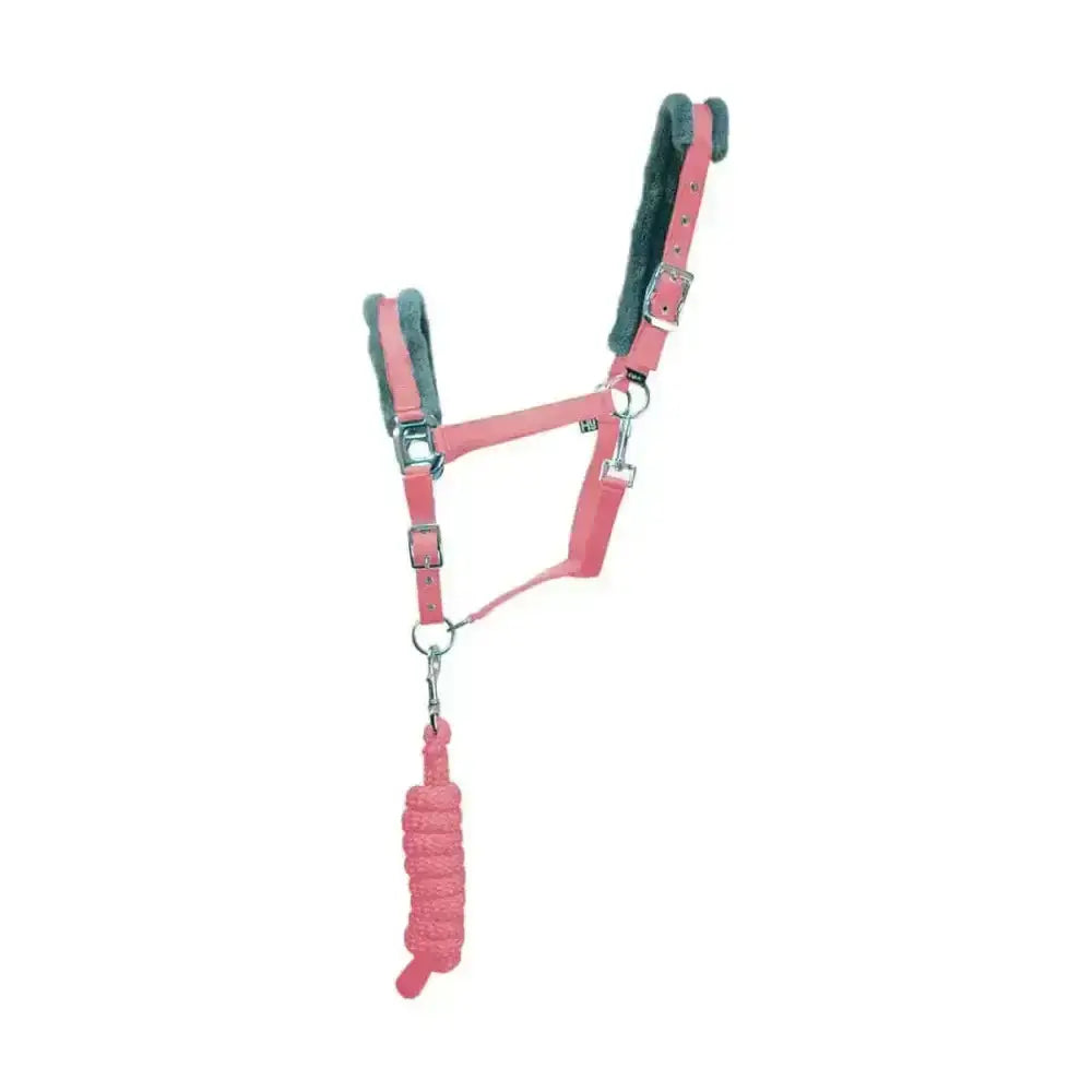 Pink leather hy sport active head collar with black fleece padding and matching pink braided lead rope adding extra comfort