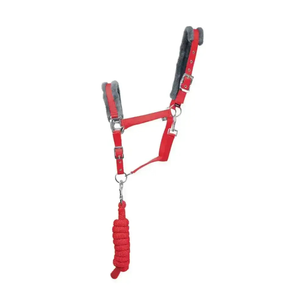 Red leather hy sport active head collar with gray fleece padding and matching red braided lead rope adding extra comfort