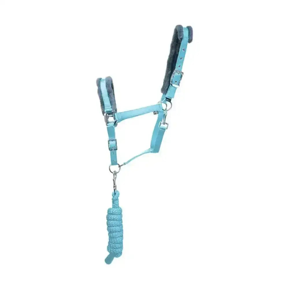 Light blue leather hy sport active head collar with plush gray padding and matching braided lead rope adding extra comfort