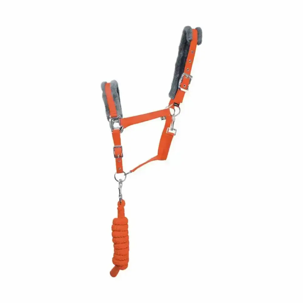 Orange leather hy sport active head collar with gray fleece ear pieces and matching braided lead rope adding extra comfort