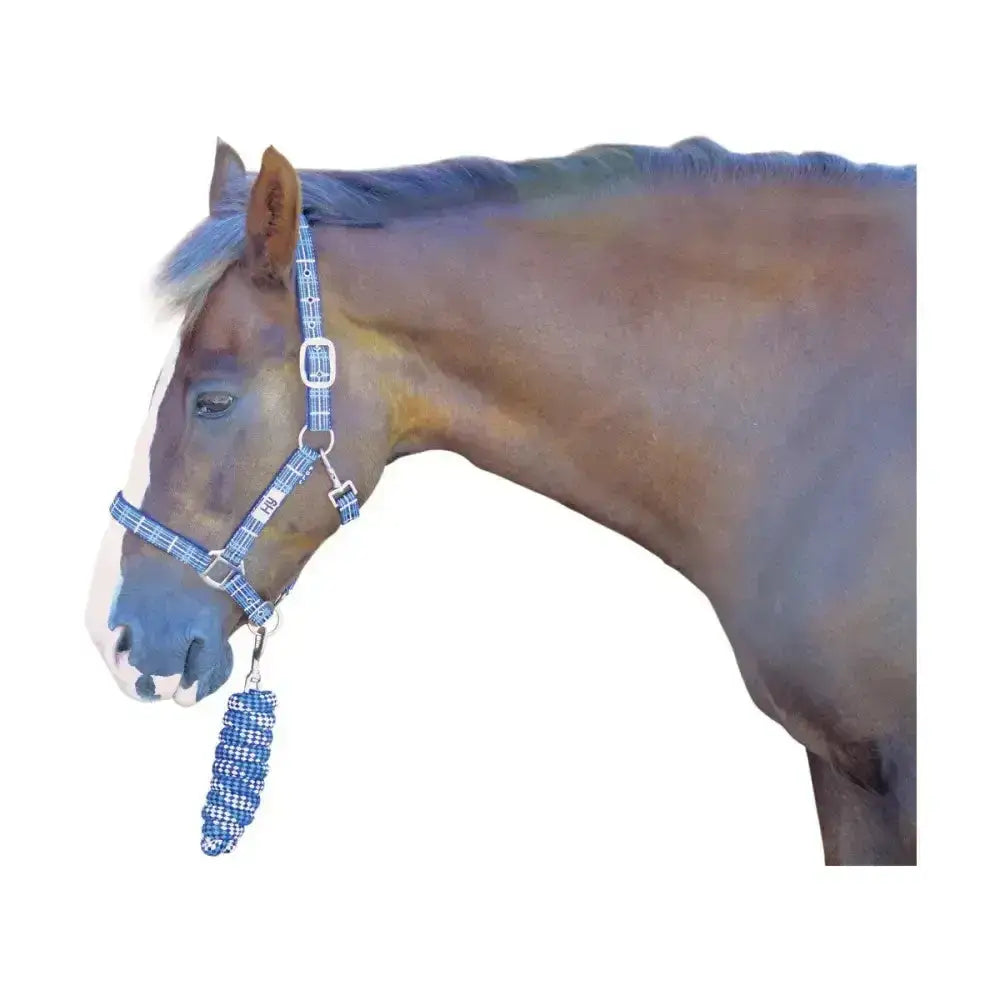 Hy Tartan Head Collar with Lead Rope Navy/White/Blue Pony Headcollar Sets