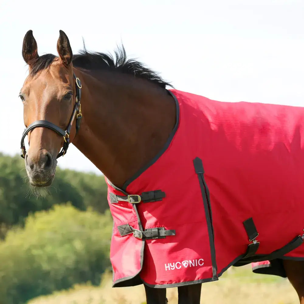 Red hyconic 100g turnout rug with black trim and buckles perfect for keeping horses warm and dry