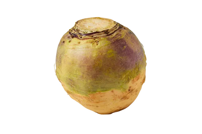 Swede