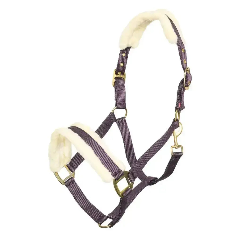 Dark purple imperial riding headcollar classic fur bordeaux with cream fleece lining and brass hardware woven strap