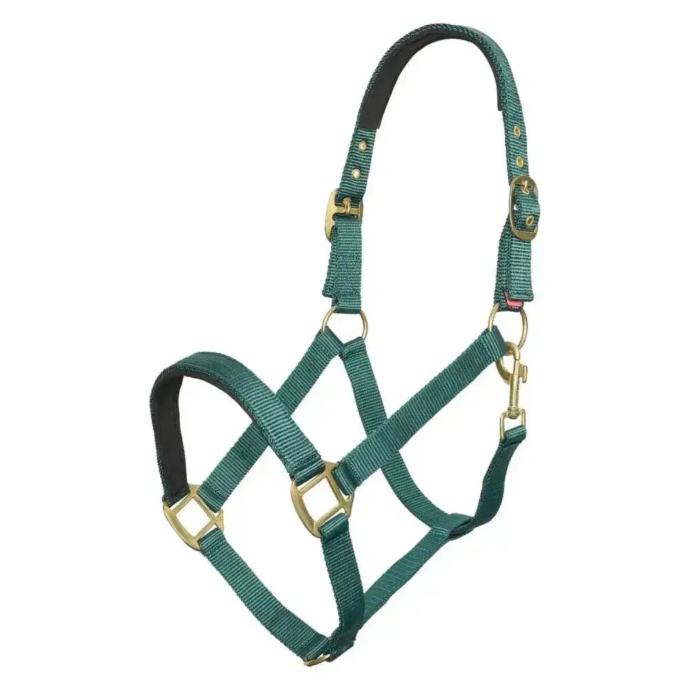 Imperial riding headcollar classic sport forest green in green woven nylon with soft neoprene padded black headpiece and brass hardware