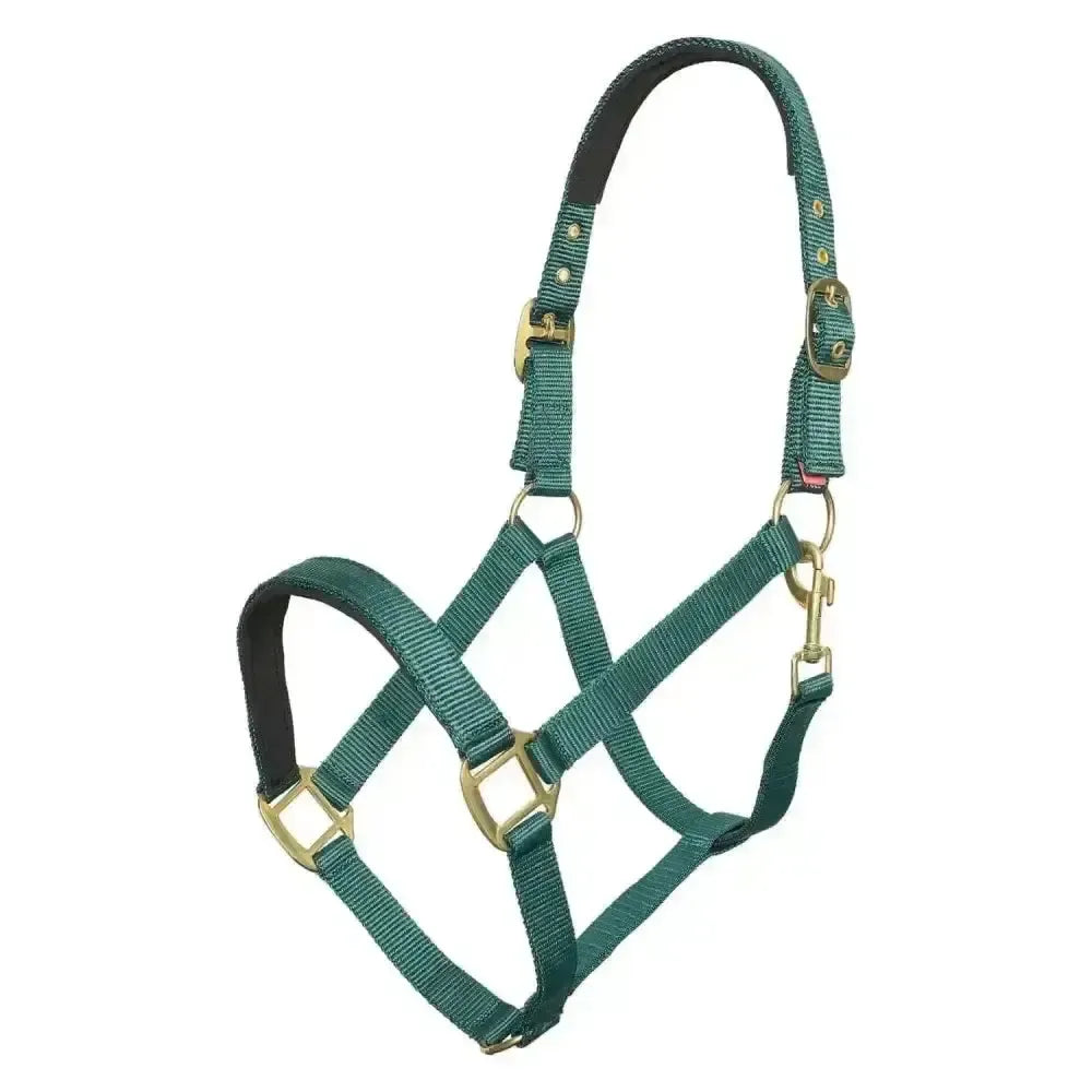 Imperial Riding Headcollar Classic Sport Forest Green Foal Forestgreen Headcollars