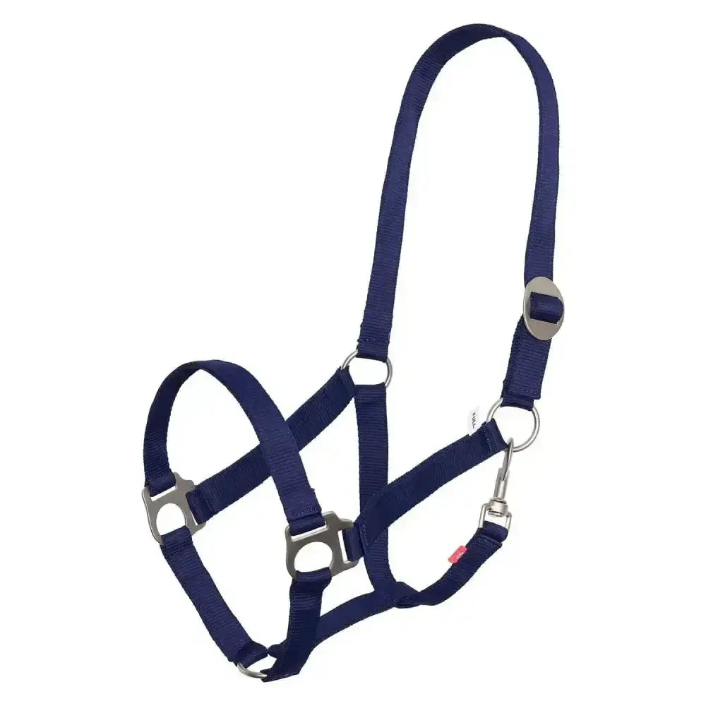 Navy blue economic nylon halter with silver hardware and adjustable buckles from imperial riding headcollar line