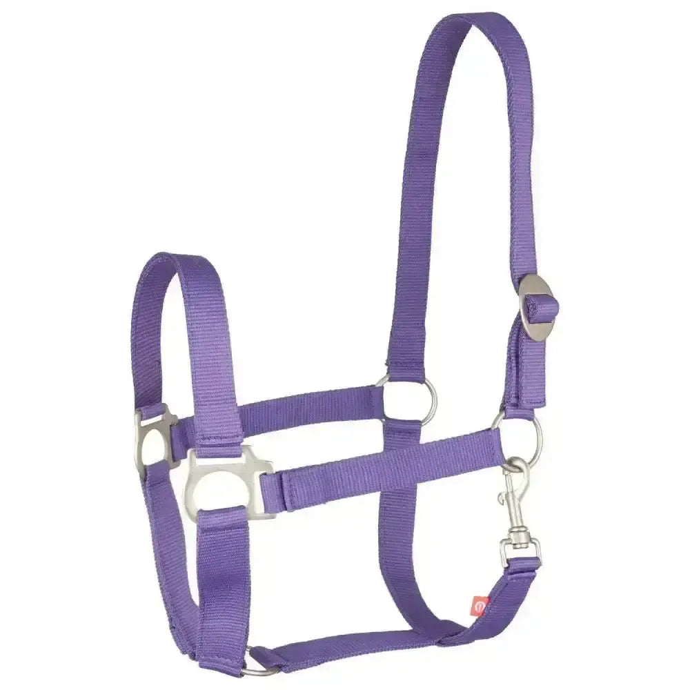 Imperial Riding Headcollar Economic Royal Purple Pony Royal Purple Headcollars