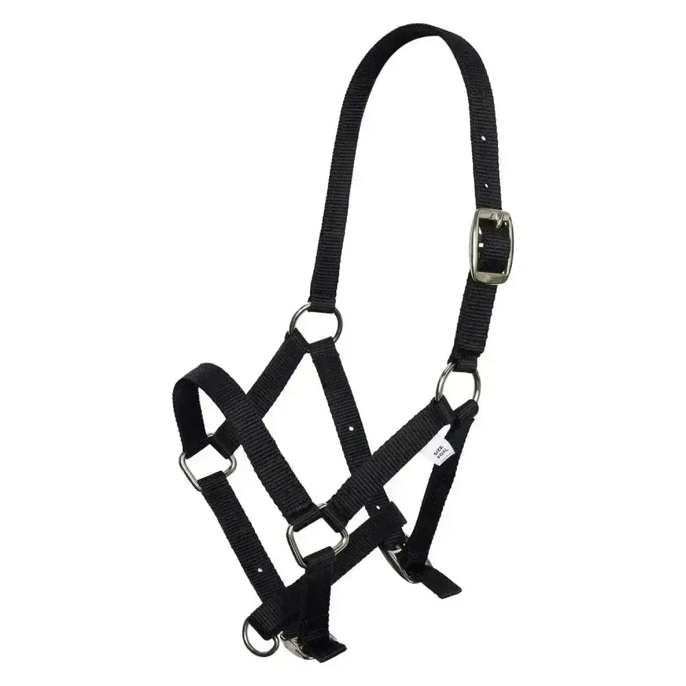 Black nylon imperial riding headcollar foal halter with silver metal hardware and adjustable buckle