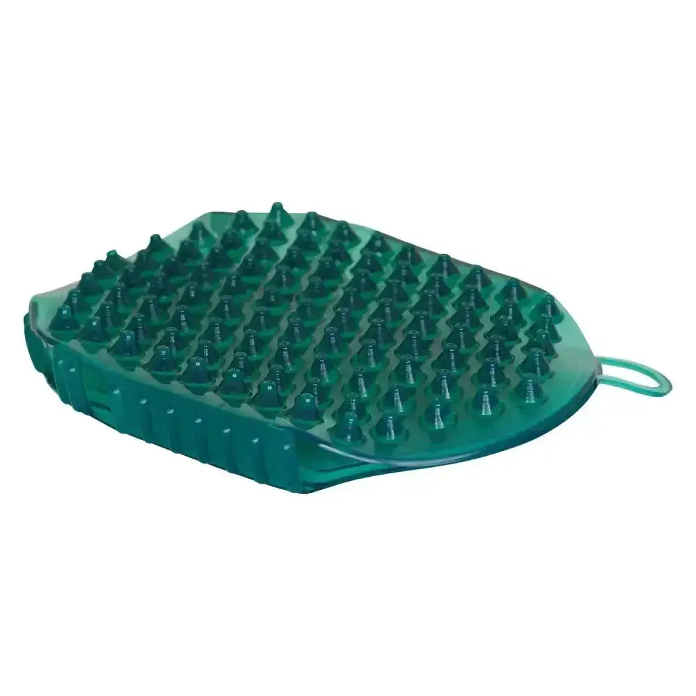 Teal-green plastic imperial riding massage grooming brush with pyramid nubs and loop handle for easy use