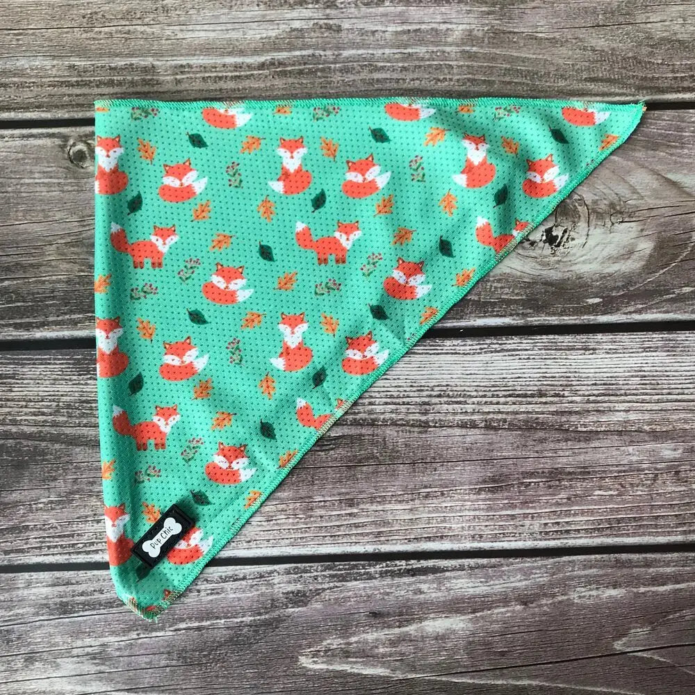 Teal inquisitive fox cooling bandana with playful orange foxes, green leaves, and lighter green stitching for dogs