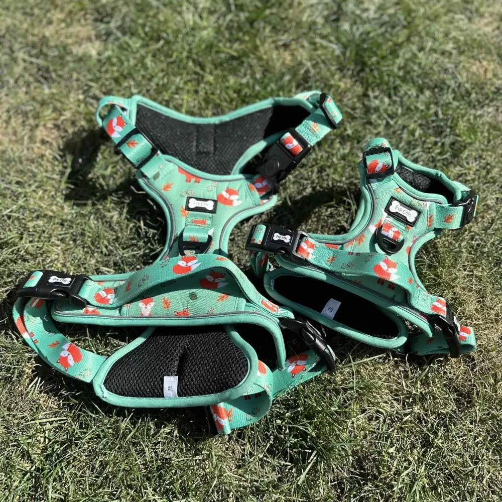 Green inquisitive fox tactical pull dog harness with fox print black mesh padding and adjustable buckles