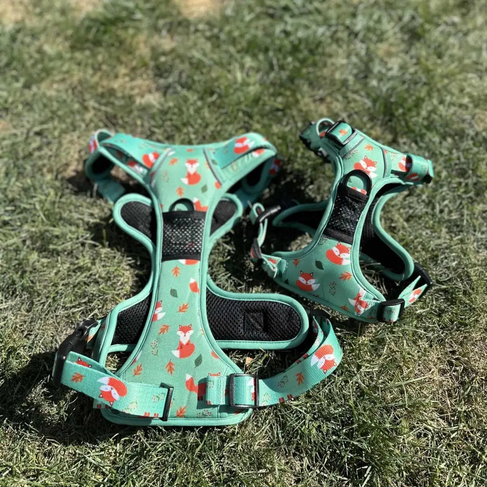Mint green inquisitive fox tactical no pull dog harness with orange fox print, black mesh panels, and adjustable straps