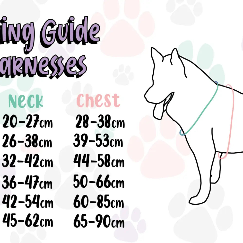 A small breeds dog wearing inquisitive fox xxs puppy harness with teal and pink two-tone straps and fox print