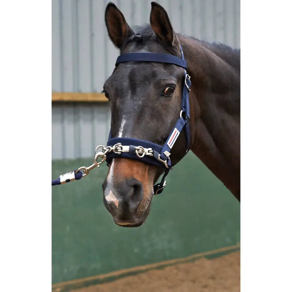 Navy blue john whitaker lunge cavasson with silver metal hardware and white stripe detail for lunging use