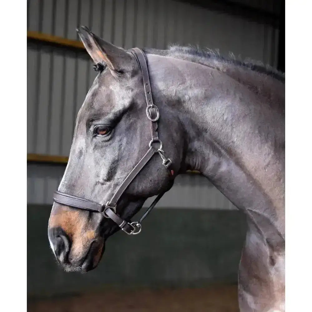 Black leather horse bridle with silver hardware from john whitaker ready ride leather headcollar designed for ride ready straight use