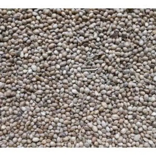 Johnston & Jeff Hemp Seed 12.5kg Bird Feed
