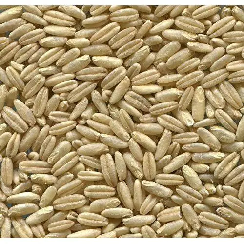 Johnston & Jeff Naked Oats 20 kg Bird Feed