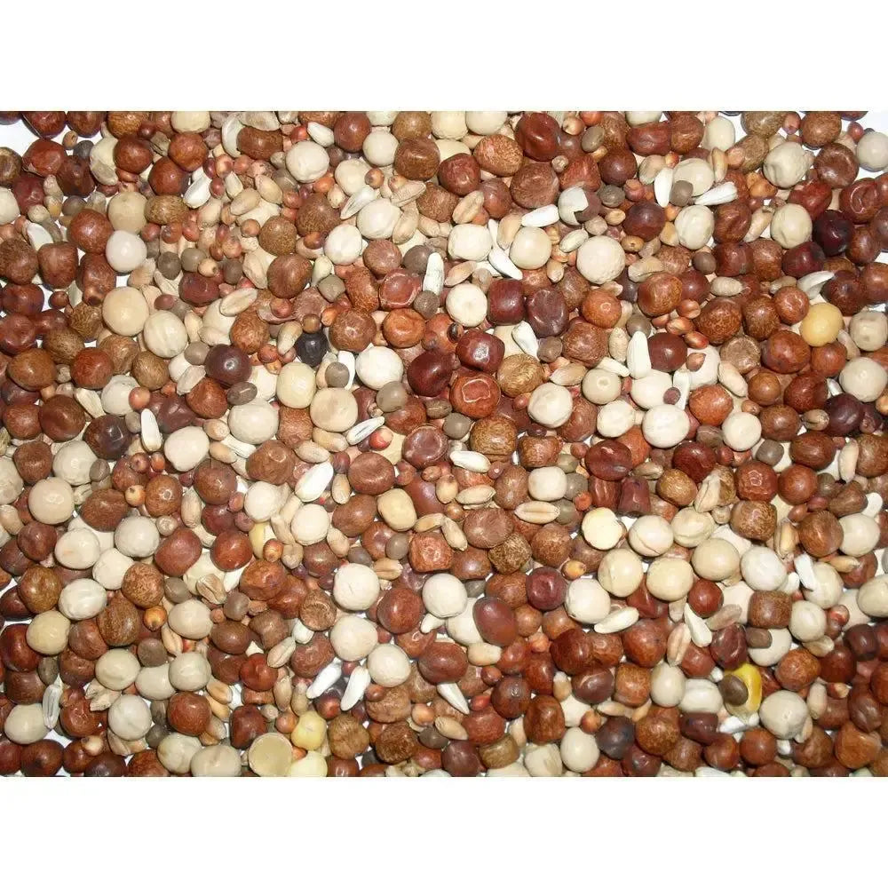 Johnston & Jeff Young Bird No Maize 20 kg Bird Feed