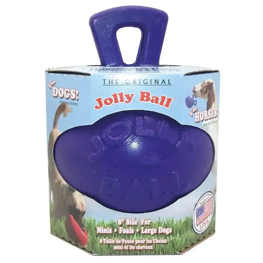 Purple jolly pets dual jolly ball dog toy with a molded handle packaged in its original box for chew play
