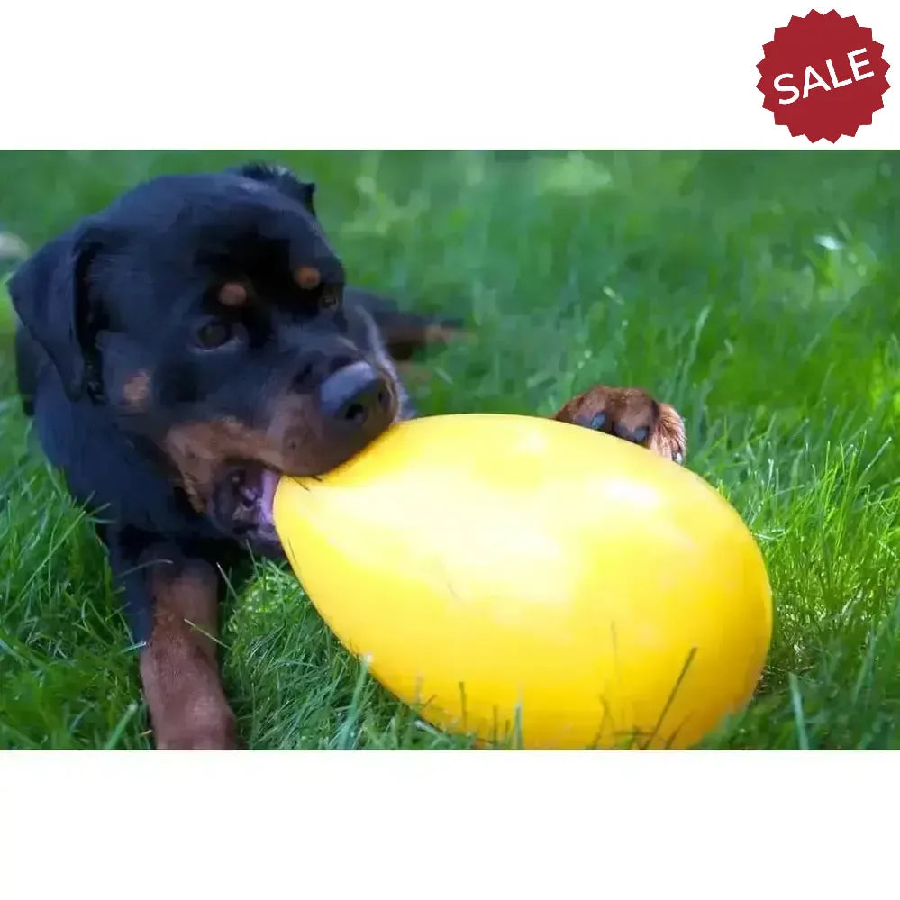 Jolly Pets Jolly Egg Yellow 8" Yellow Dog Toys