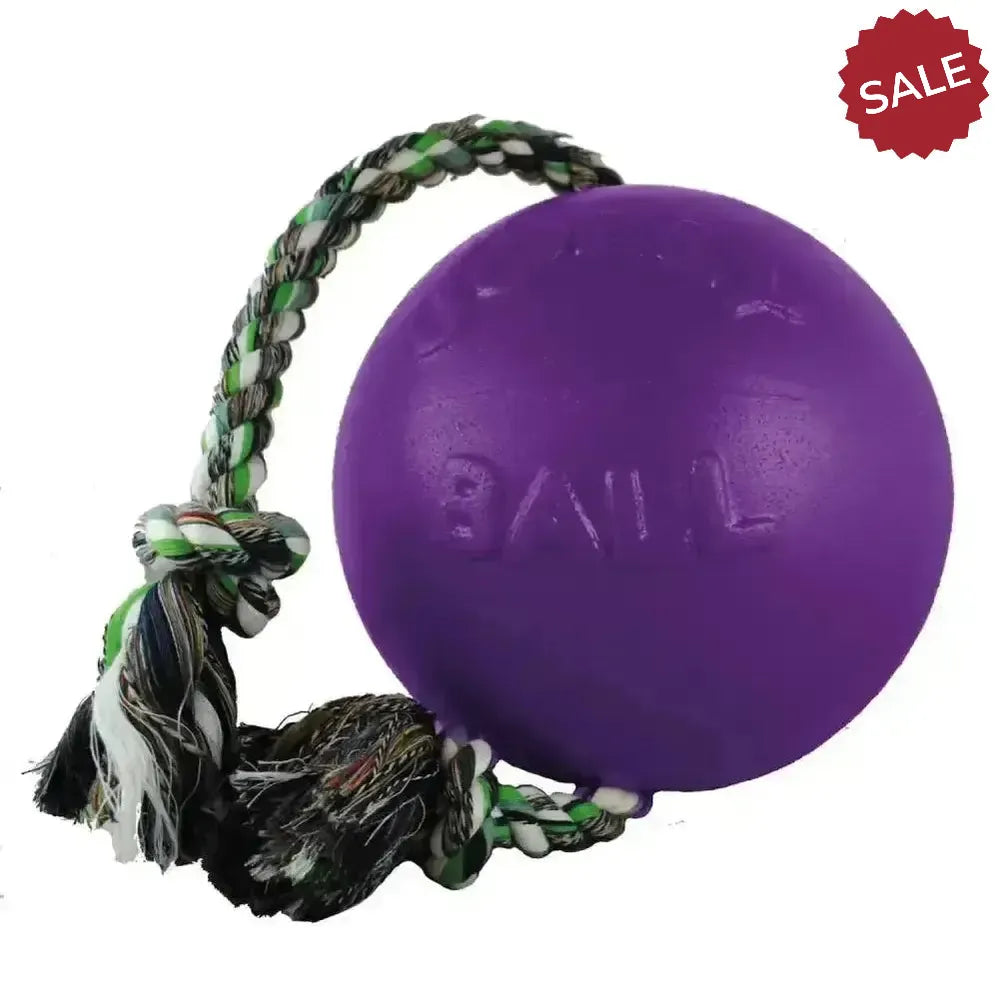 Jolly Pets Romp-N-Roll Purple 4.5" Purple Dog Toys