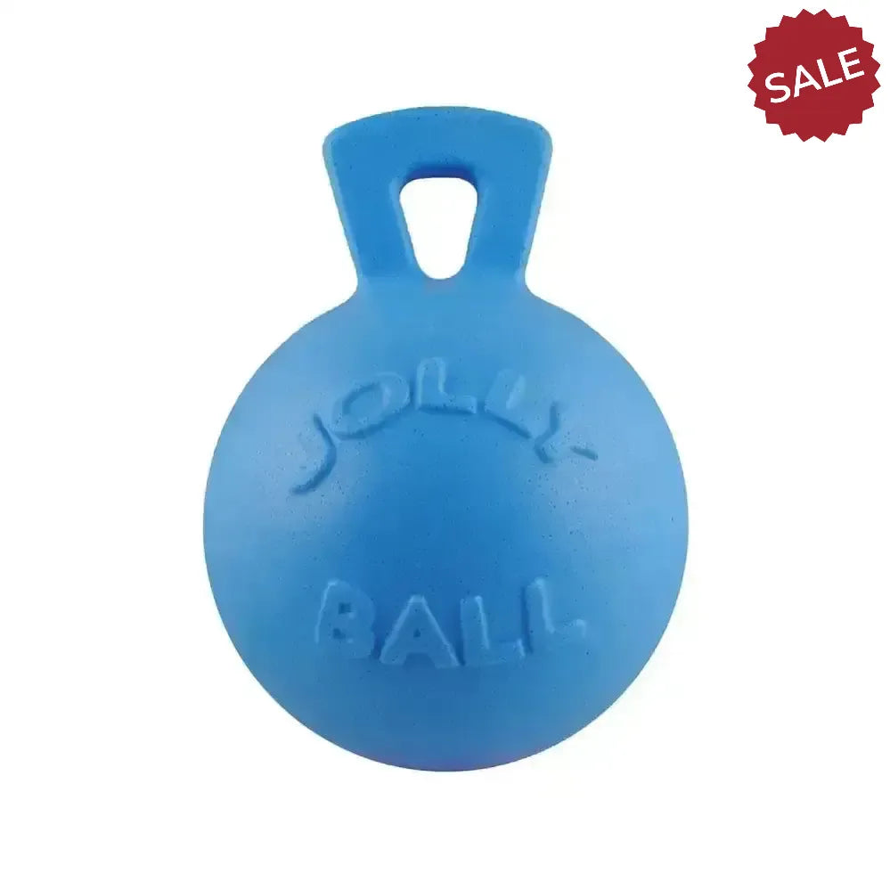 Jolly Pets Tug-N-Toss Blueberry 4.5" Blueberry Dog Toys