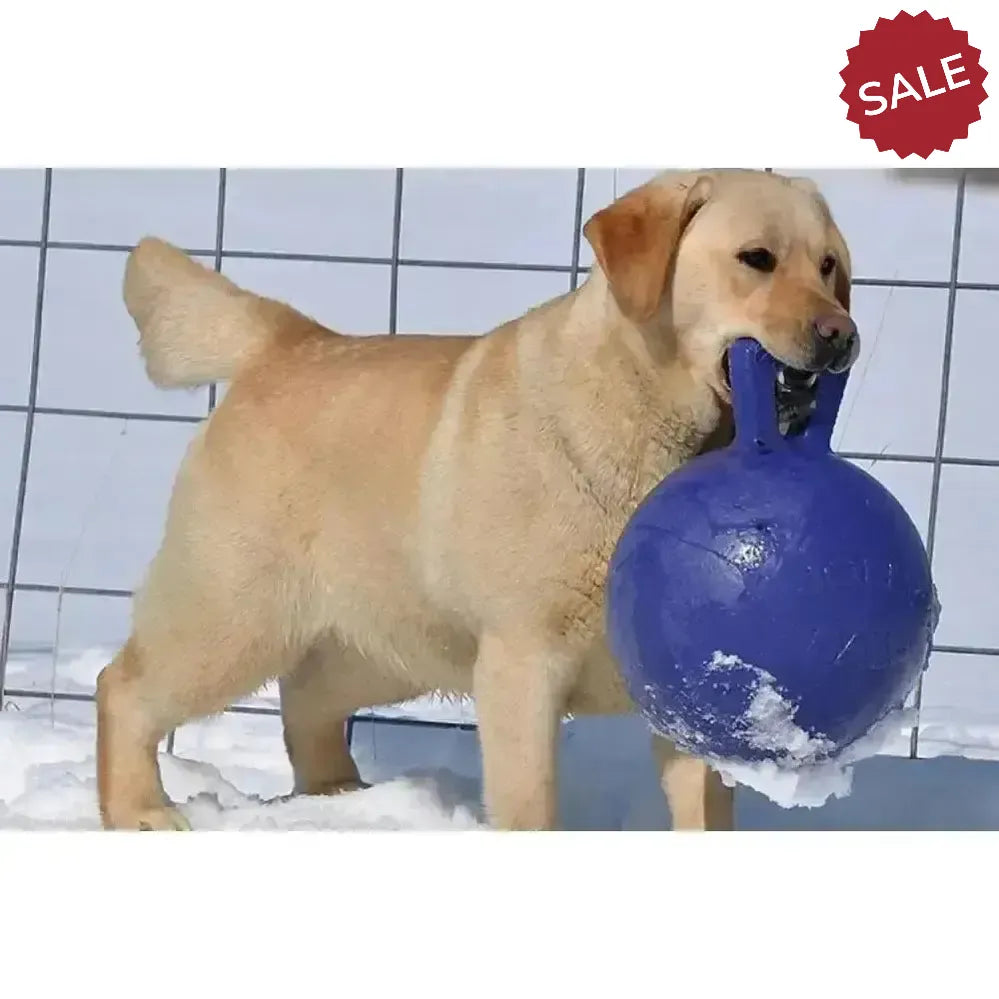 Jolly Pets Tug-N-Toss Red 4.5" Horse Toys