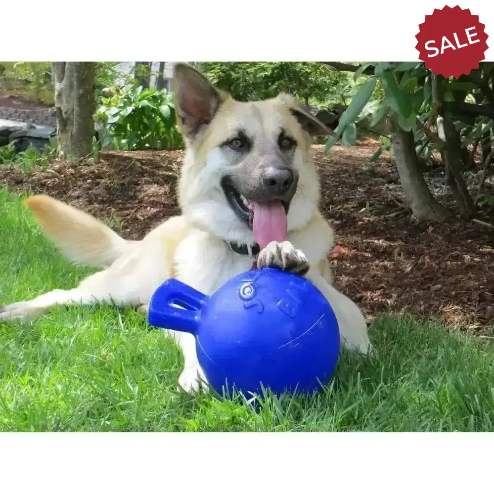 Jolly Pets Tug-N-Toss Red 4.5" Horse Toys