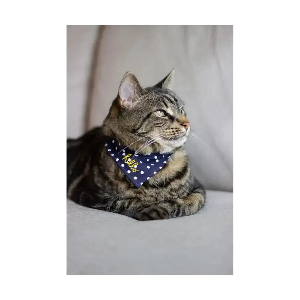 Joules Neckerchief Hello Small Pet