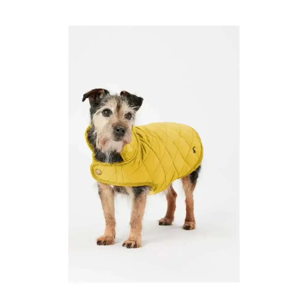 Yellow joules quilted dog coat with diamond quilted padded design shown from the back side