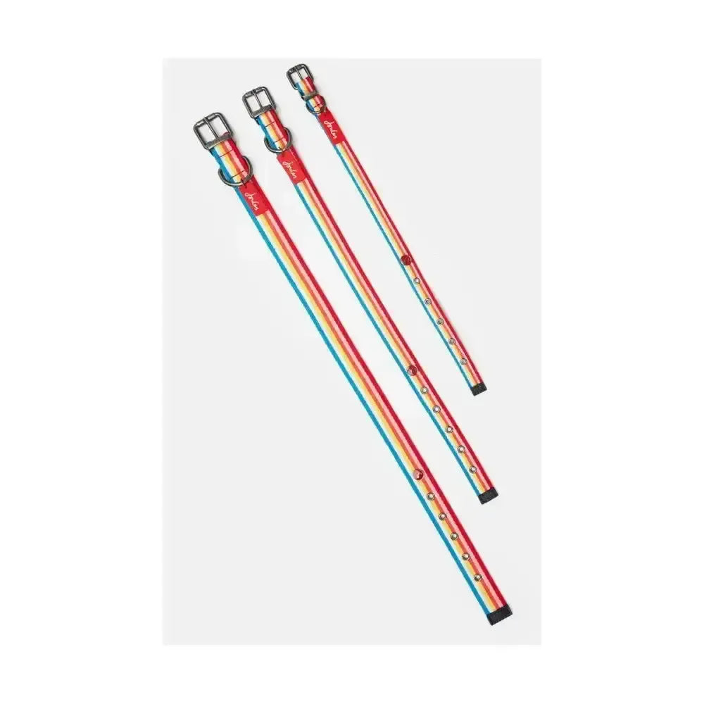 Joules Rainbow Stripe Dog Collar Small Small Pet